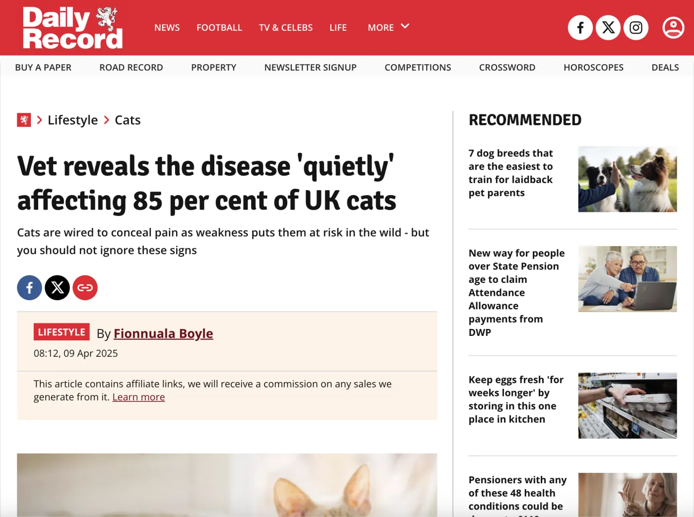 Fionnuala Boyle Vet reveals the disease 'quietly' affecting 85 per cent of UK cats - Daily Record